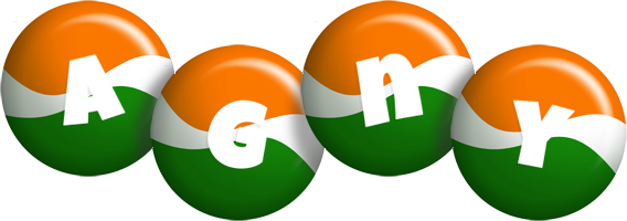 Agny india logo