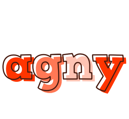 Agny paint logo