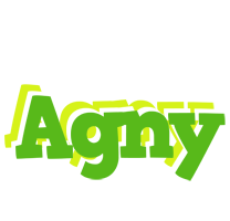 Agny picnic logo