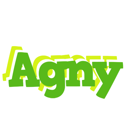 Agny picnic logo