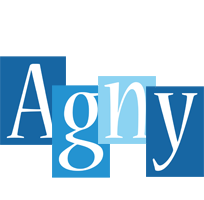 Agny winter logo