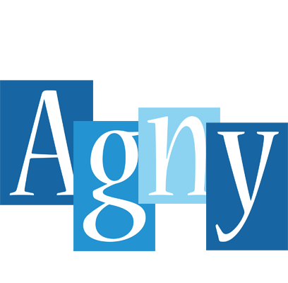 Agny winter logo