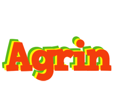 Agrin bbq logo