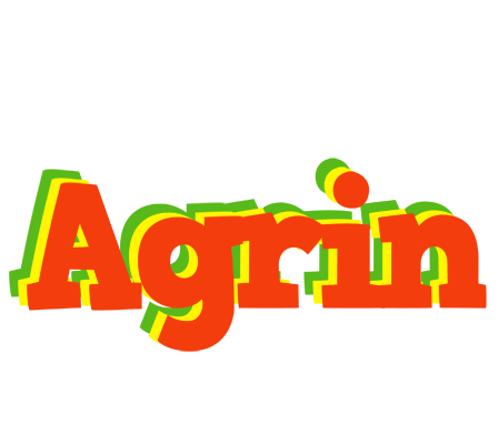 Agrin bbq logo