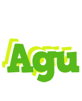 Agu picnic logo