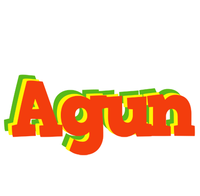 Agun bbq logo