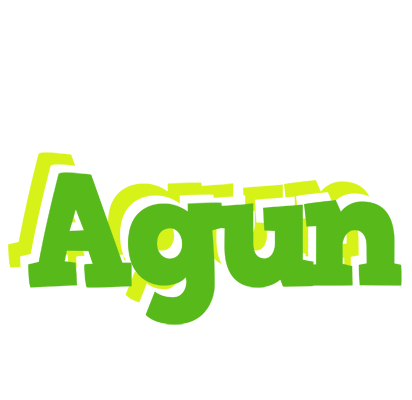 Agun picnic logo