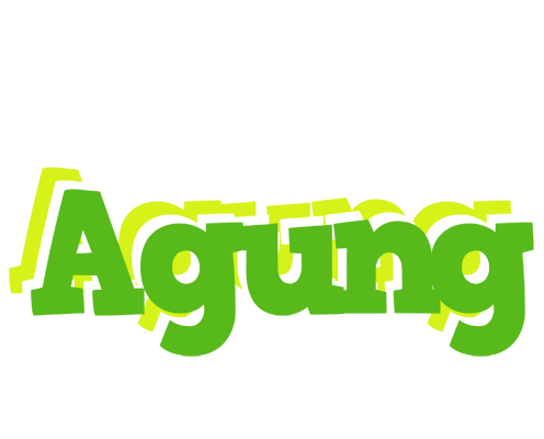Agung picnic logo