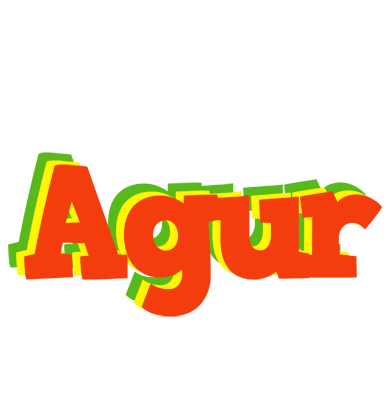 Agur bbq logo