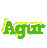 Agur picnic logo