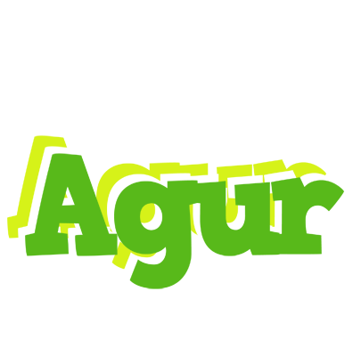 Agur picnic logo
