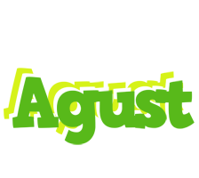 Agust picnic logo