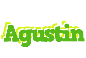 Agustin picnic logo