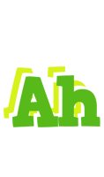 Ah picnic logo