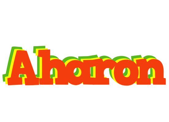 Aharon bbq logo