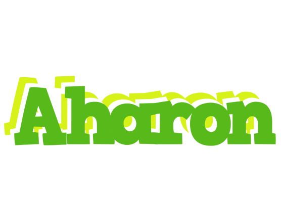 Aharon picnic logo