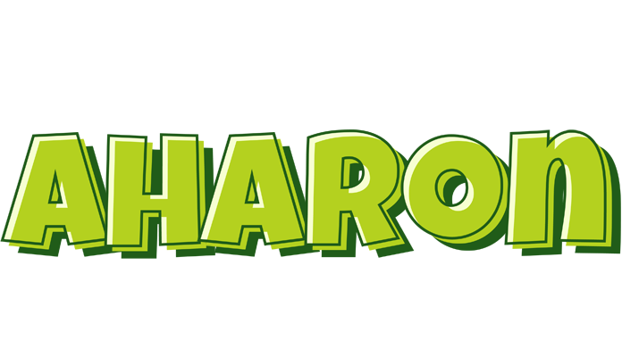 Aharon summer logo