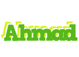 Ahmad picnic logo