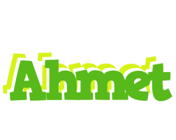 Ahmet picnic logo