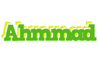 Ahmmad picnic logo