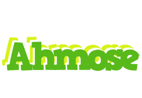 Ahmose picnic logo