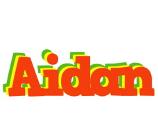 Aidan bbq logo