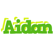 Aidan picnic logo