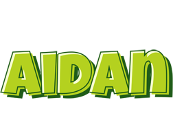 Aidan summer logo