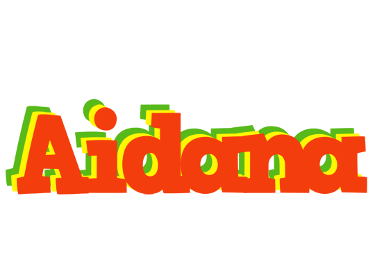 Aidana bbq logo