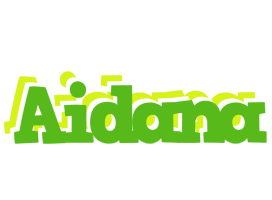 Aidana picnic logo