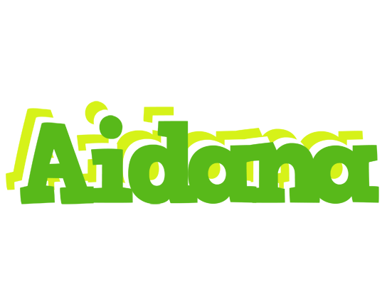 Aidana picnic logo