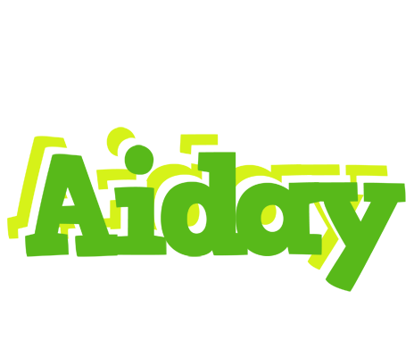 Aiday picnic logo