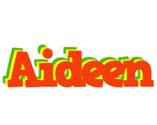 Aideen bbq logo