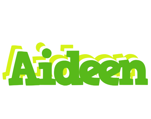 Aideen picnic logo