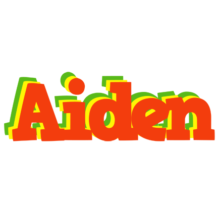 Aiden bbq logo