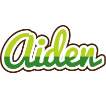 Aiden golfing logo