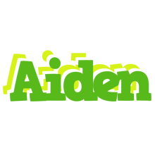 Aiden picnic logo