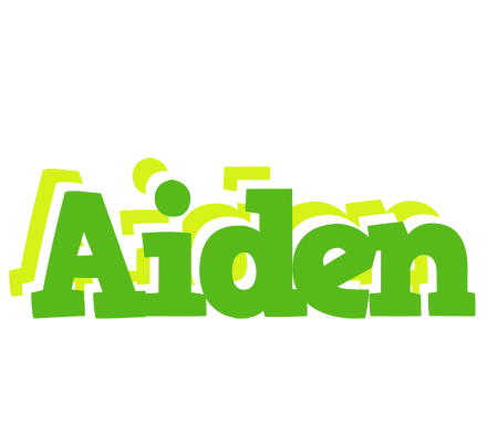 Aiden picnic logo