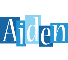 Aiden winter logo