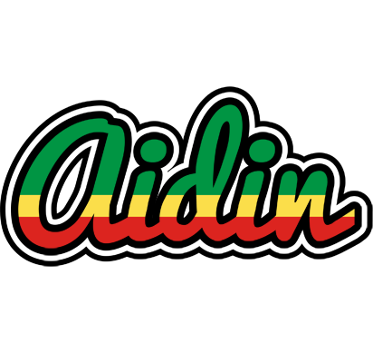 Aidin african logo