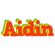 Aidin bbq logo