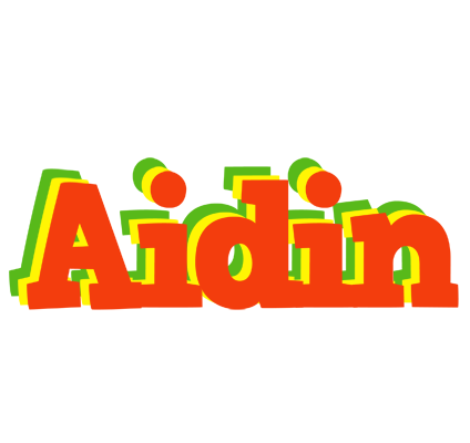 Aidin bbq logo