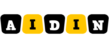 Aidin boots logo
