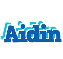 Aidin business logo