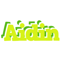 Aidin citrus logo