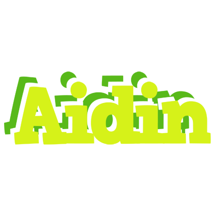 Aidin citrus logo