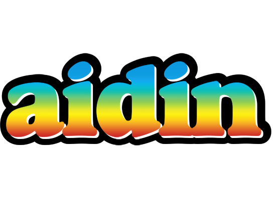 Aidin color logo