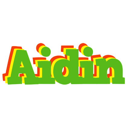 Aidin crocodile logo