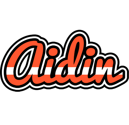 Aidin denmark logo