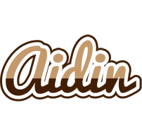 Aidin exclusive logo
